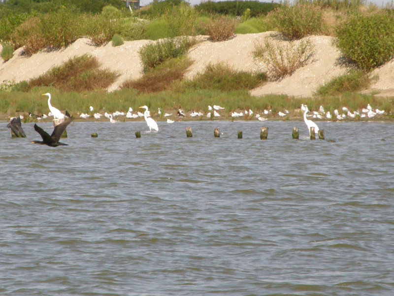 Polesine Camerini